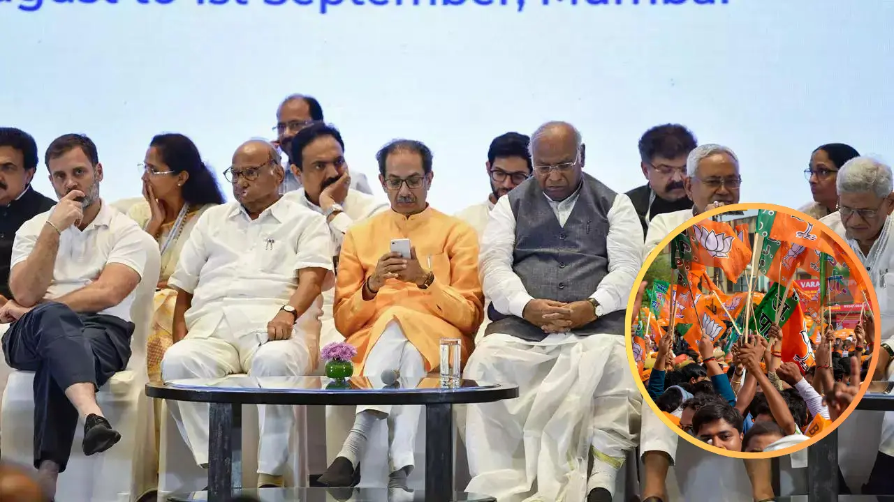 BJP will become the new mayor