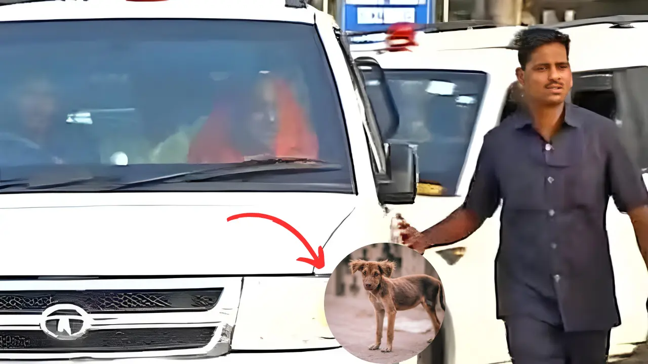 up-cm-convoy-accident-dog-in-front-two-dead-many-injured