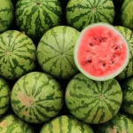 Benefits of Watermelon Juice Discover the 6 Advantages