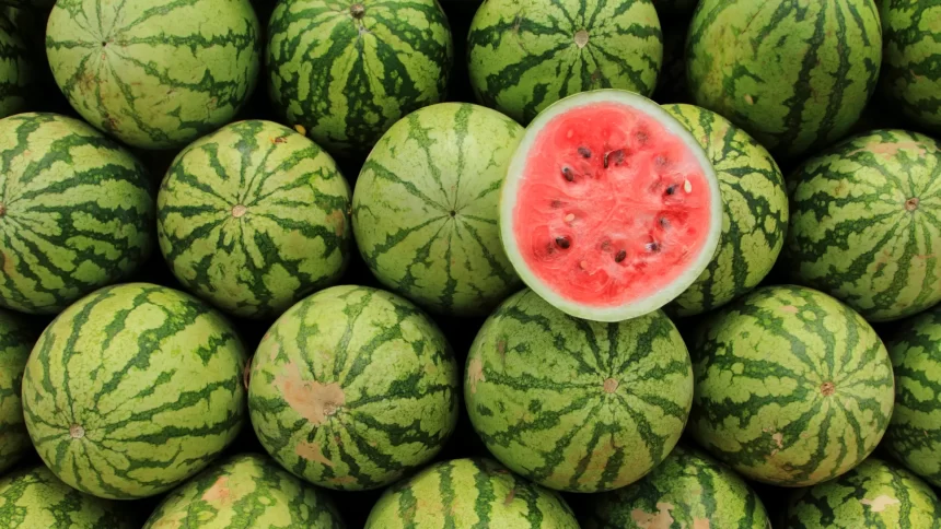 Benefits of Watermelon Juice Discover the 6 Advantages