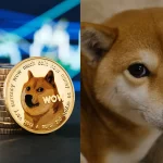 Dogecoin: 'Doge' meme and Dogecoin Shiba Inu famous dog is no more, was suffering from liver disease!