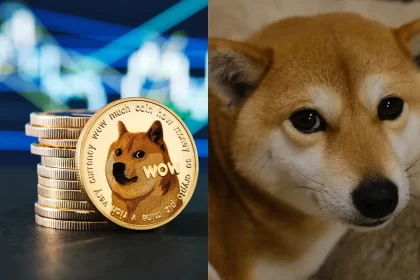 Dogecoin: 'Doge' meme and Dogecoin Shiba Inu famous dog is no more, was suffering from liver disease!