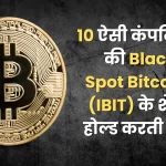 Know 10 companies that hold shares of BlackRock Spot Bitcoin ETF (IBIT)