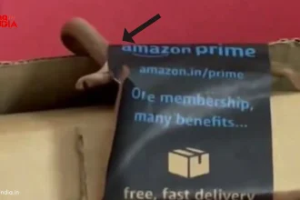 Snake In Amazon Package